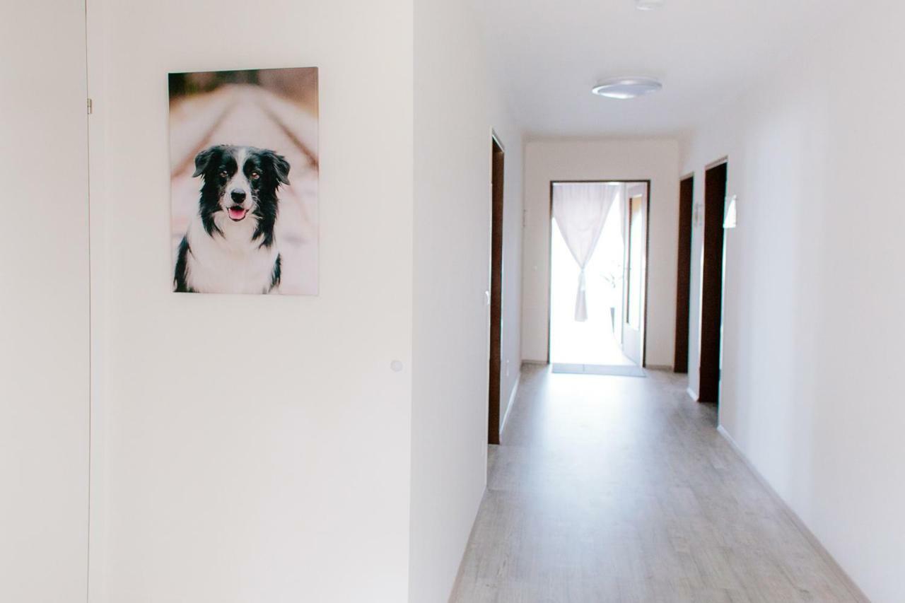 Steira-Studios Ehrenhausen Zewnętrze zdjęcie